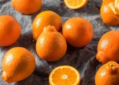 Minneola Tangelo Grafted Citrus Tree 3 Feet Tall. Free Shipping -Cheap Plantly Store 0BB6EFF9 987A 4723 B297 7BF7165FA0F4