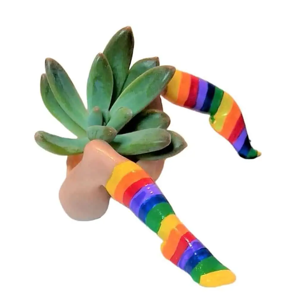 Mini Planter LGBTQ Rainbow With Plant Ships Free. 3 Mini Planter LGBTQ Rainbow With Plant Ships Free.