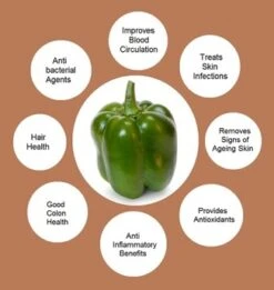 Organic Green Bell Peppers 9 Organic Green Bell Peppers -Cheap Plantly Store 1685718991 4