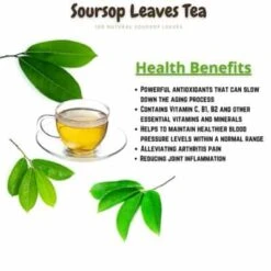 Organic SourSop Leaves -Cheap Plantly Store 1685756368 4