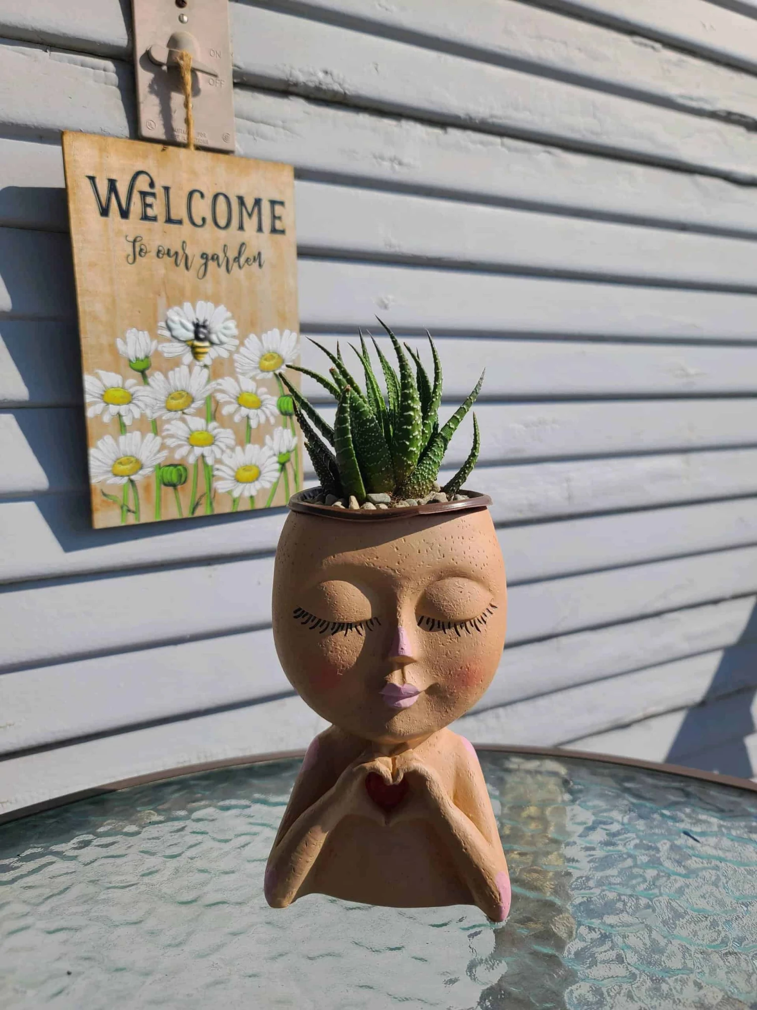 Girl Face Head Planter Brown With Live Succulent 3 Girl Face Head Planter Brown With Live Succulent