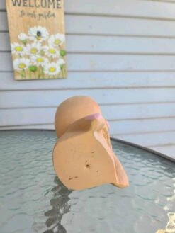 Girl Face Head Planter Brown With Live Succulent 7 Girl Face Head Planter Brown With Live Succulent -Cheap Plantly Store 1695272308 2