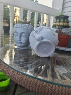 Buddha Head Planter With Live Succulent -Cheap Plantly Store 1695272960 2
