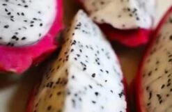 Dragon Fruit Starter Kit, 3x Varieties, Top Flavors 9 Dragon Fruit Starter Kit, 3x Varieties, Top Flavors -Cheap Plantly Store 1695429393 3