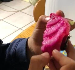 Dragon Fruit Starter Kit, 3x Varieties, Top Flavors 10 Dragon Fruit Starter Kit, 3x Varieties, Top Flavors -Cheap Plantly Store 1695429393 4