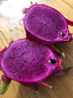 Dragon Fruit Starter Kit, 3x Varieties, Top Flavors 11 Dragon Fruit Starter Kit, 3x Varieties, Top Flavors -Cheap Plantly Store 1695429393 5