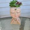 Mini Girl Face Head Planter With Live Succulent -Cheap Plantly Store 1698959763 1