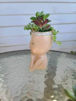 Mini Girl Face Head Planter With Live Succulent 9 Mini Girl Face Head Planter With Live Succulent -Cheap Plantly Store 1698959764 3