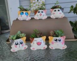 Succulent Arrangement In Mini Cat Planter