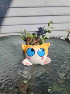 Succulent Arrangement In Mini Cat Planter 11 Succulent Arrangement In Mini Cat Planter -Cheap Plantly Store 1698960716 4