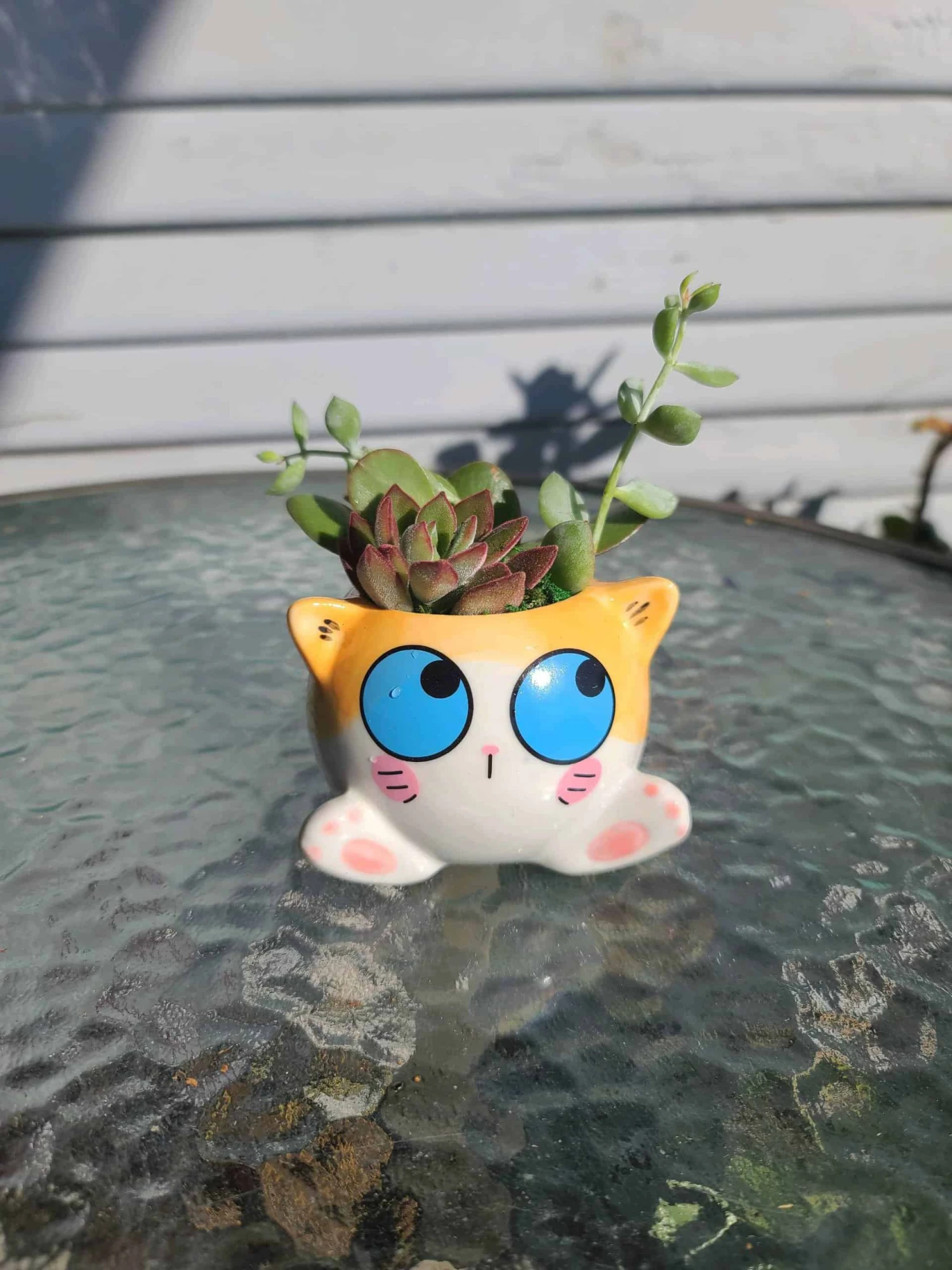 Succulent Arrangement In Mini Cat Planter 6 Succulent Arrangement In Mini Cat Planter - Image 4