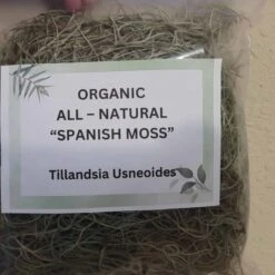 Beautiful Fresh Florida Spanish Moss (Tillandsia Usneoides) In 1 Gallon Bags -Cheap Plantly Store 20230613 192126