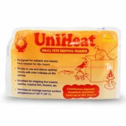 Beautiful Hoya Curtisii In A 4 Inch Pot! Blooms Are Amazing! -Cheap Plantly Store 40Hr Single 1000x1000 20907