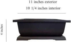 3 Bonsai Tree Pots With Drip Tray. XL 11 Inch Pots With Drain Hole. Great Gift -Cheap Plantly Store 41tY0Hi0V7L. AC SL1080