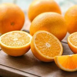 Hamlin Orange Grafted Citrus Tree. 3 Feet Tall -Cheap Plantly Store 68004913 CEAE 41B7 AC5E B03D615B5423