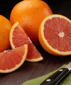 Red Navel Orange Grafted CITRUS Tree 3 Feet Tall. -Cheap Plantly Store DCD7DB9B 3DD0 4573 8F00 6928ABF5250C