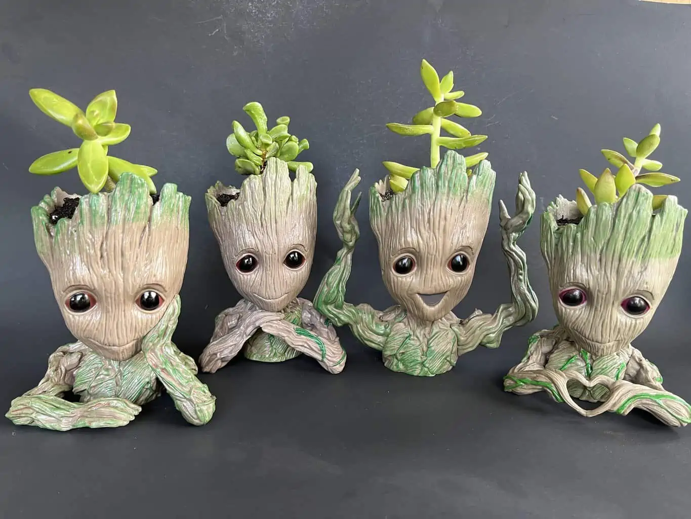 Groot Pot With Assorted Succulent 3 Groot Pot With Assorted Succulent