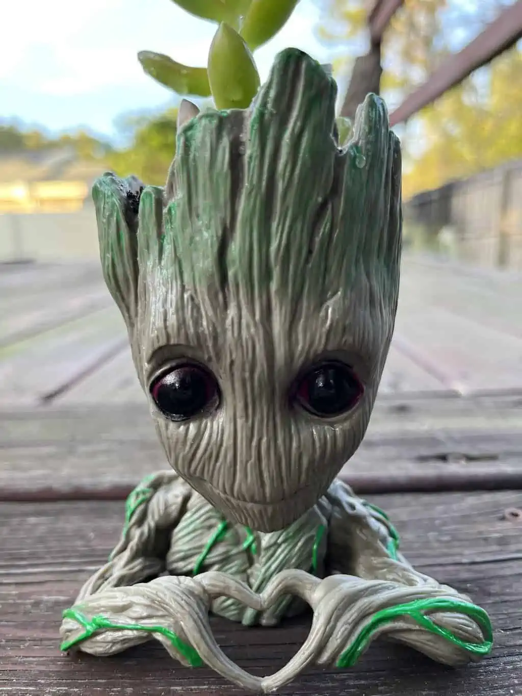 Groot Pot With Assorted Succulent 7 Groot Pot With Assorted Succulent - Image 5