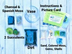 Beach Succulent Terrarium Kit -Cheap Plantly Store IMG 3041