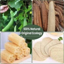 Organic Loofah Starter Plant 9 Organic Loofah Starter Plant -Cheap Plantly Store IMG 3330