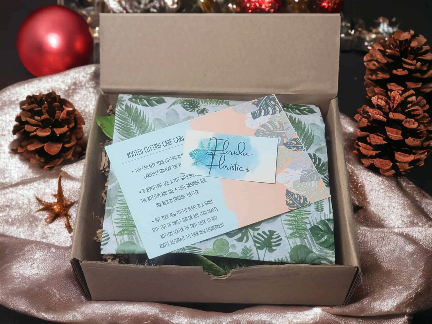 LIVE Cuttings Box - Pothos - Hoya - Philodendron - Spider - Cutting Mystery Box - FREE SHIPPING 5 LIVE Cuttings Box - Pothos - Hoya - Philodendron - Spider - Cutting Mystery Box - FREE SHIPPING - Image 3