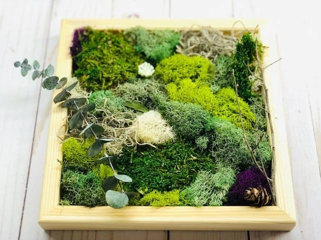 DIY Moss Wall Art Kit, Make Your Own Moss Art, Preserved Moss Art 4 DIY Moss Wall Art Kit, Make Your Own Moss Art, Preserved Moss Art - Image 2