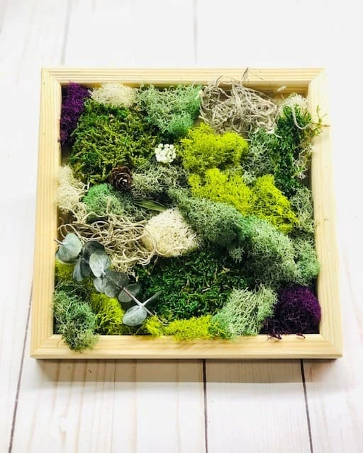 DIY Moss Wall Art Kit, Make Your Own Moss Art, Preserved Moss Art 5 DIY Moss Wall Art Kit, Make Your Own Moss Art, Preserved Moss Art - Image 3