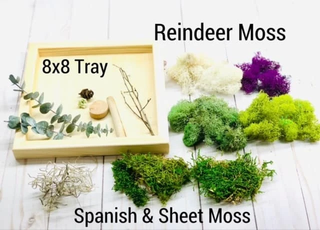 DIY Moss Wall Art Kit, Make Your Own Moss Art, Preserved Moss Art 7 DIY Moss Wall Art Kit, Make Your Own Moss Art, Preserved Moss Art - Image 5