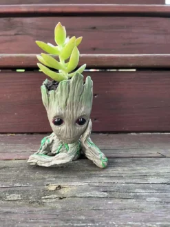 Groot Pot With Assorted Succulent 10 Groot Pot With Assorted Succulent -Cheap Plantly Store bored groot golden glow stonecrop rotated 1