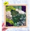 DIY Moss Wall Art Kit, Make Your Own Moss Art, Preserved Moss Art -Cheap Plantly Store diy big moss