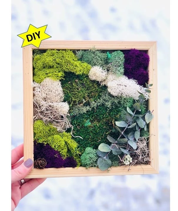 DIY Moss Wall Art Kit, Make Your Own Moss Art, Preserved Moss Art 3 DIY Moss Wall Art Kit, Make Your Own Moss Art, Preserved Moss Art