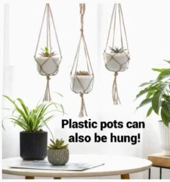 DIY Succulent Cactus Garden Kit, Plants Under 31.4, -Cheap Plantly Store hangingmini