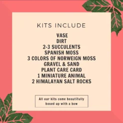 Pink Himalayan Salt Rock Terrarium Kit -Cheap Plantly Store himalayan details