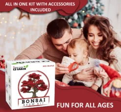 Bonsai Tree Kit – Grow 5 Species Of Bonsai Tree W/ Our All-in-One Plant Kit: Bonsai Pots & Soil | Great Gardening Gifts For Women And Men -Cheap Plantly Store il 1588xN.3542047000 6rhe.jpg