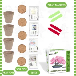 Bonsai Tree Kit - Grow 4 Types Of Bonsai Tree From Seed - Highly Desired Species -Cheap Plantly Store il 1588xN.3631613545 9cil.jpg