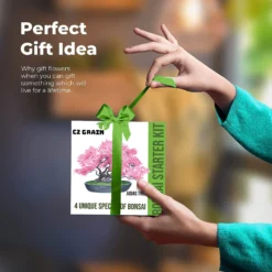 Bonsai Tree Kit - Grow 4 Types Of Bonsai Tree From Seed - Highly Desired Species -Cheap Plantly Store il 1588xN.3631613617 ig3g.jpg