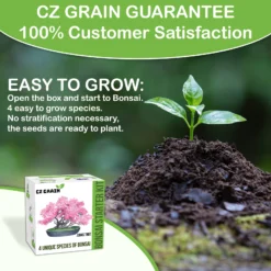 Bonsai Tree Kit - Grow 4 Types Of Bonsai Tree From Seed - Highly Desired Species -Cheap Plantly Store il 1588xN.3631613815 en2r.jpg