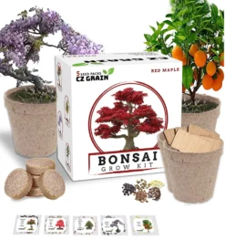 Bonsai Tree Kit β Grow 5 Species Of Bonsai Tree W/ Our All-in-One Plant Kit: Bonsai Pots & Soil | Great Gardening Gifts For Women And Men