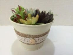 Medium Succulent Arrangement In An Antique White Pail Planter. Beautiful, Completely Assembled Dish Garden.