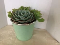 Medium Succulent Plant - Arrangement In Round, Green Enameled Planter With A Metal Rim. Beautiful, Completely Assembled Dish Garden.. -Cheap Plantly Store il fullxfull.1217189204 13ox
