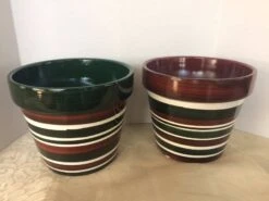 Medium Succulent Plant - Arrangement In Round Striped Ceramic Planter. Beautiful, Completely Assembled Dish Garden.. 13 Medium Succulent Plant - Arrangement In Round Striped Ceramic Planter. Beautiful, Completely Assembled Dish Garden.. -Cheap Plantly Store il fullxfull.1283616772 n05y