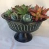 Large Succulent Arrangement In A Black With Green Tin Pedestal Planter. -Cheap Plantly Store il fullxfull.1523273341 qr5z