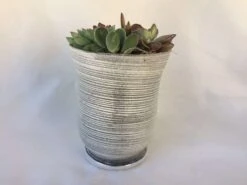 Medium Succulent Plant - Arrangement In A Frosted Silver Swirl Crystal Planter. -Cheap Plantly Store il fullxfull.1523396167 8z17