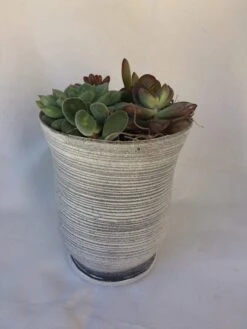Medium Succulent Plant - Arrangement In A Frosted Silver Swirl Crystal Planter. -Cheap Plantly Store il fullxfull.1523396311 r3b2