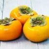 FUYU Persimmon Seedlings - Large Size 1 FUYU Persimmon Seedlings - Large Size -Cheap Plantly Store il fullxfull.3007383080 7ak4