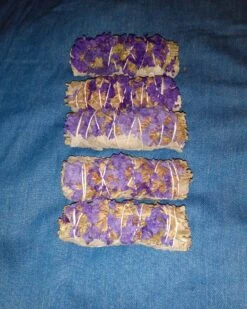 Soul Peace Bundle-String Of Hearts Variegated -Cheap Plantly Store sage 1