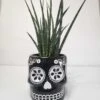 Sansevieria Fernwood Mikado In Sugar Skull Pot - Mikado Snakeplant 6" -Cheap Plantly Store skull side 2 rotated 1