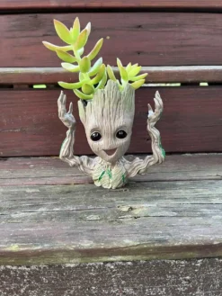 Groot Pot With Assorted Succulent 8 Groot Pot With Assorted Succulent -Cheap Plantly Store surprised groot golden glow stonecrop rotated 1