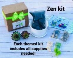 DIY Succulent Cactus Garden Kit, Plants Under 31.4, -Cheap Plantly Store whitebowl7