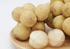 Lansium Domesticum/Parasiticum Langsat Longkong Duku Bon Bon Tree -Cheap Plantly Store 龙宫果 3